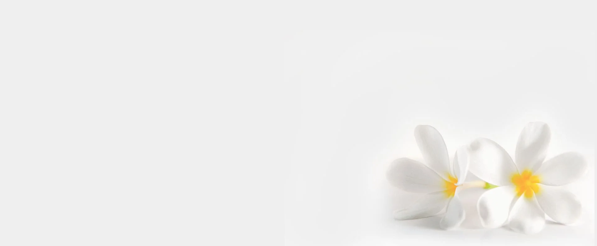 Flower background | Kozlow & Rowell Dentistry | North Dallas | Addison